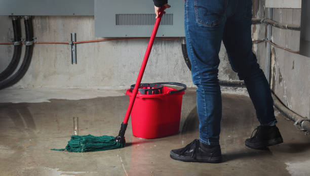 Best Fire Damage Restoration  in Jamestown, NC