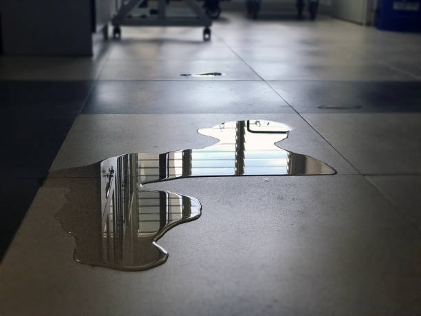 Best 24/7 water damage repair  in Jamestown, NC