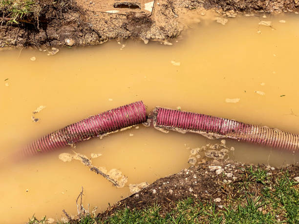 Best Flood damage cleanup  in Jamestown, NC